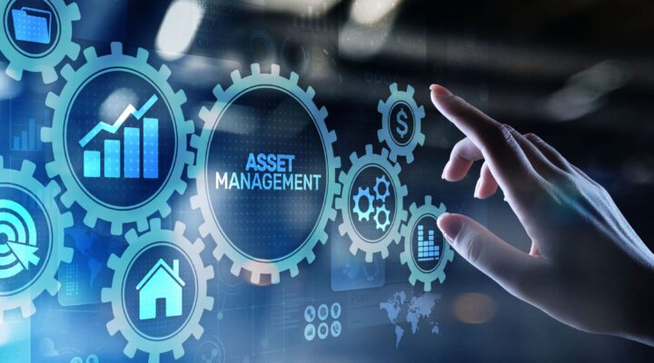 avila capital, investimento sólido, resultados consistentes